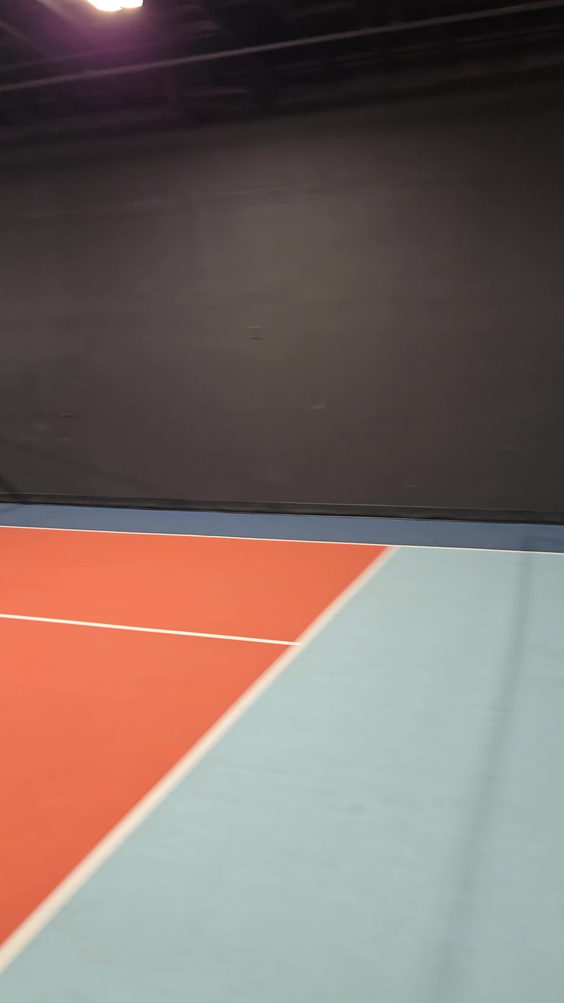 Mr  pickleball indoor