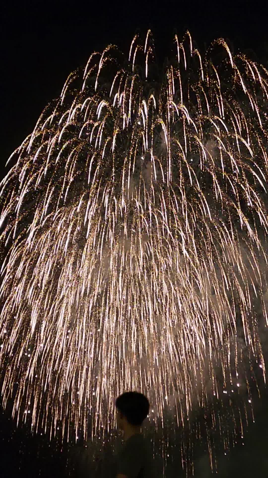 Video review of Hilton Hawaiian Village Waikiki Beach Resort