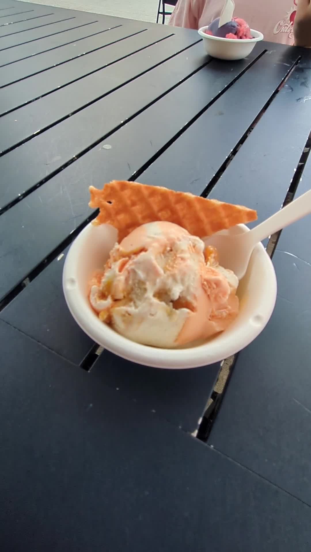 Jenis Splendid Ice Creams