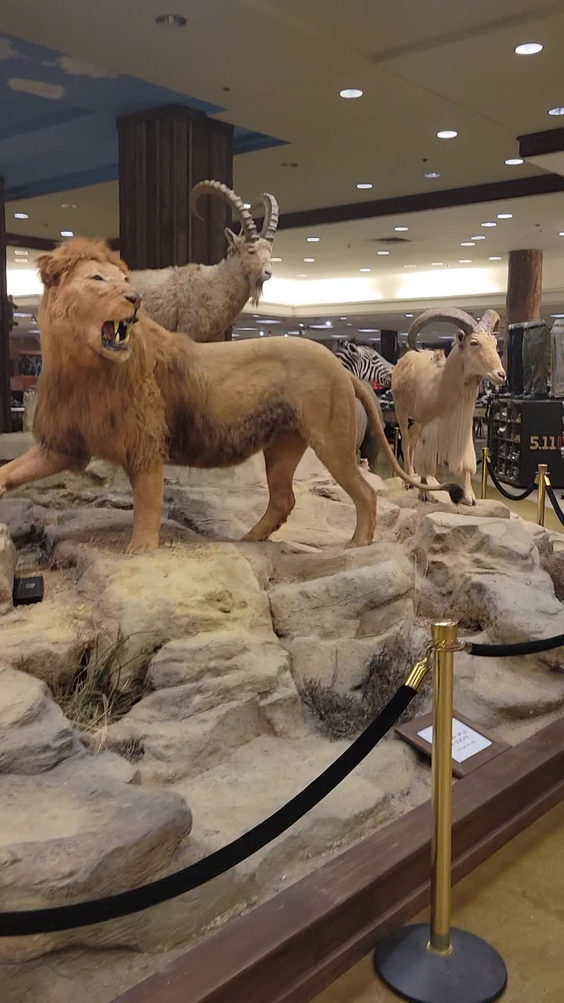 Bass Pro Shops