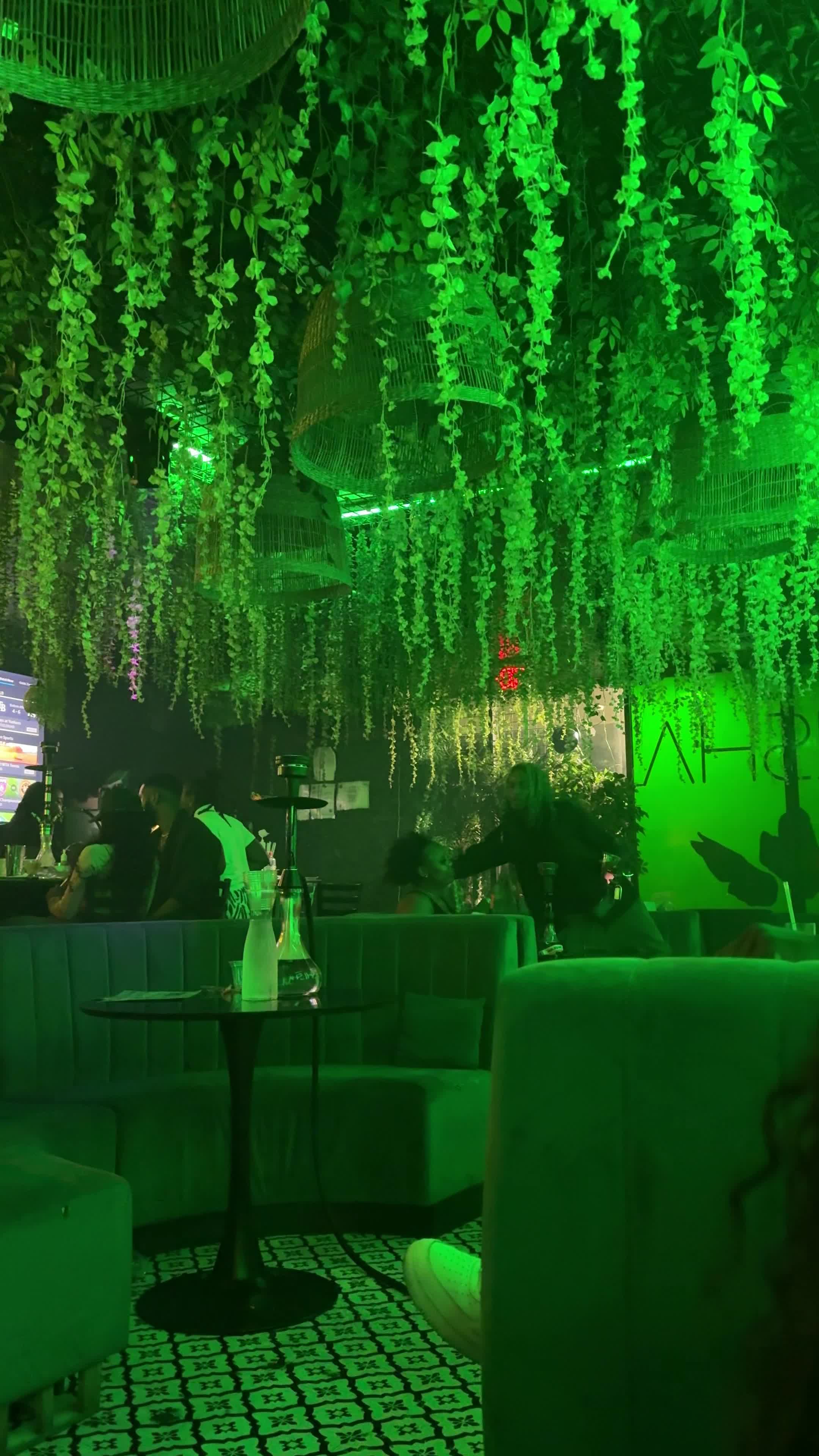 Shisha