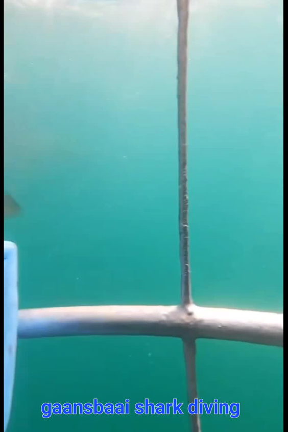 Fun
