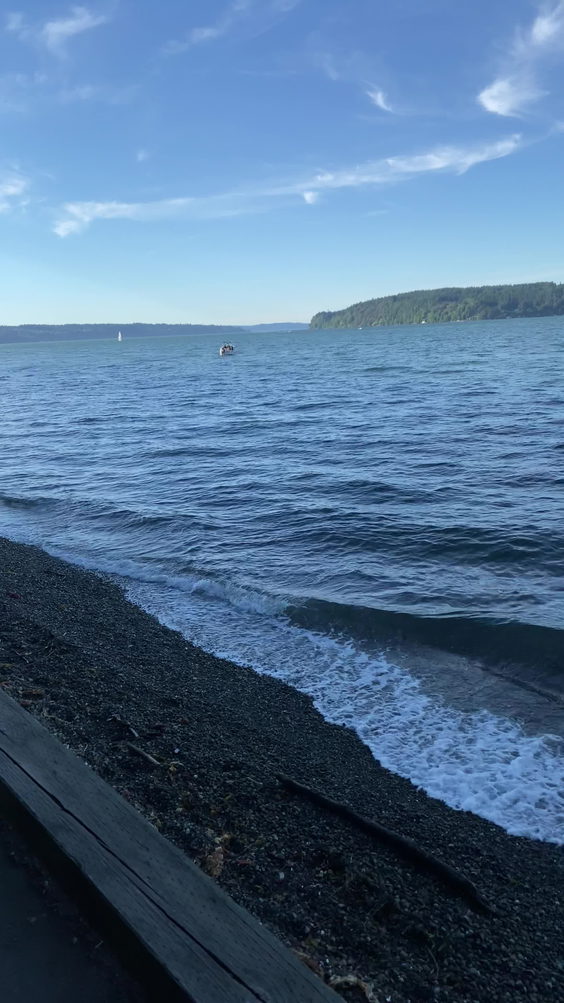 Point Defiance Marina