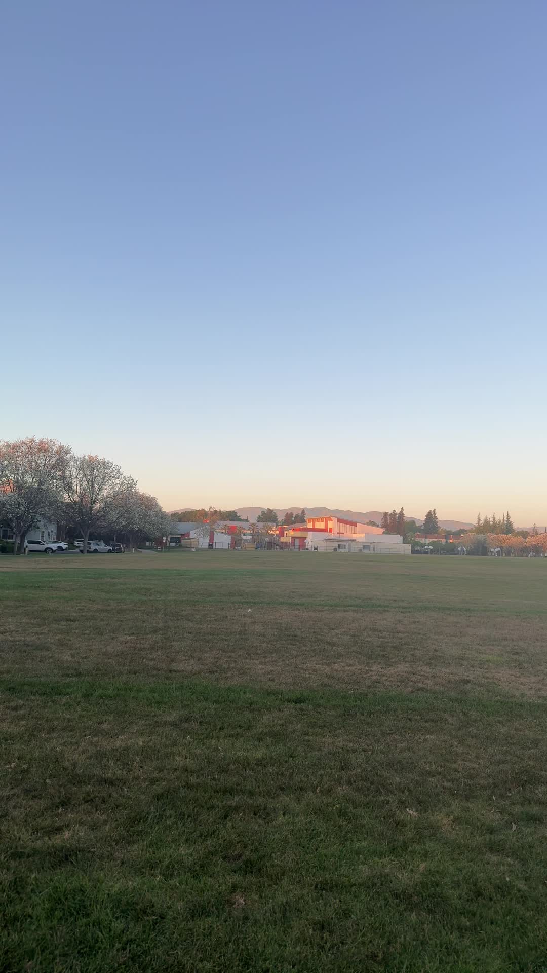 Video review of Live Oak Park