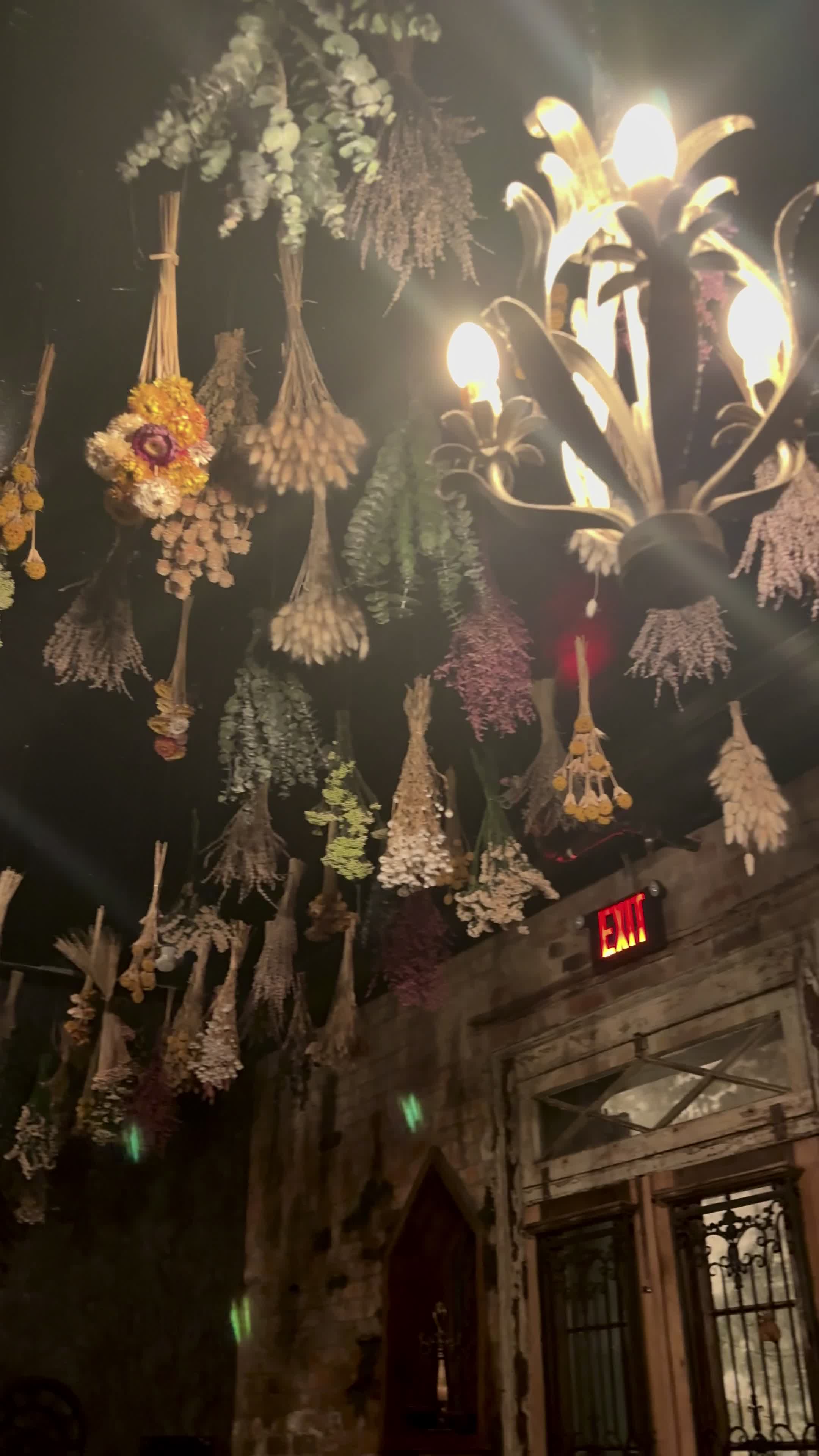 Video review of Vampire Apothecary Restaurant & Bar