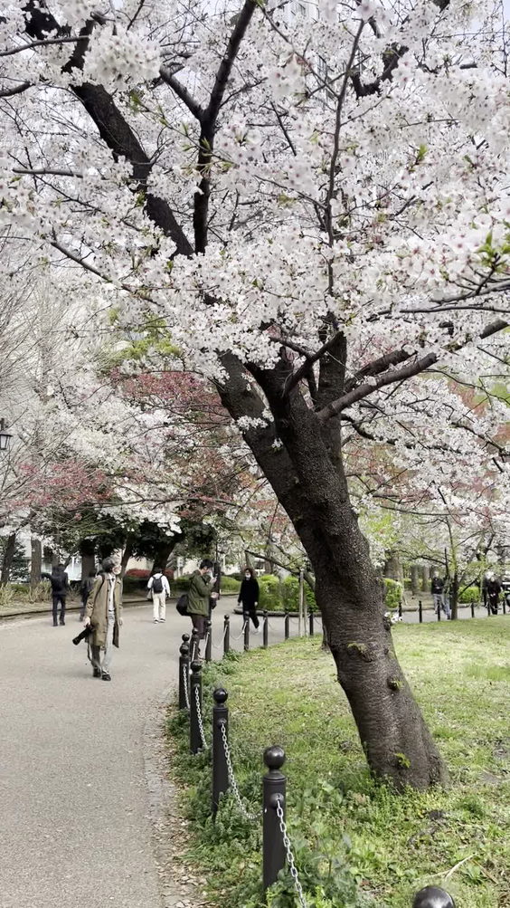 Ueno Park 