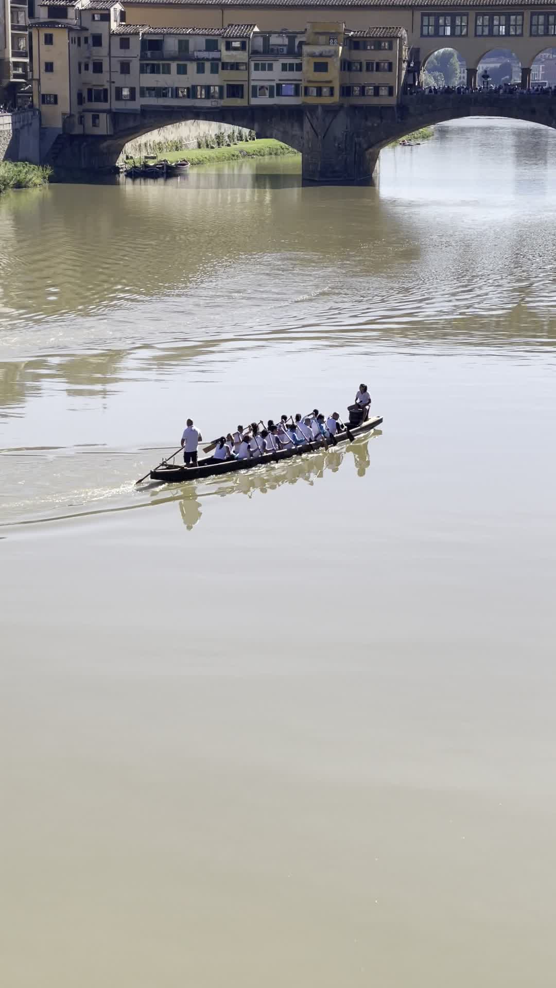 Brandon K. Florence, DDS