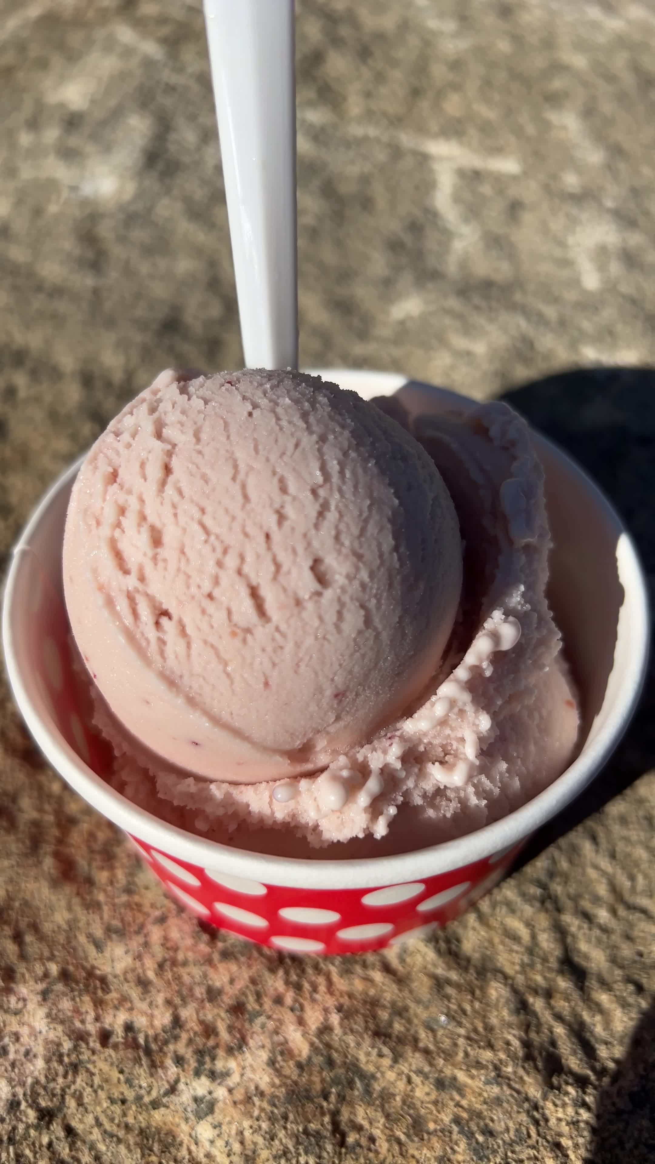 Emma & Ottos Ice Cream