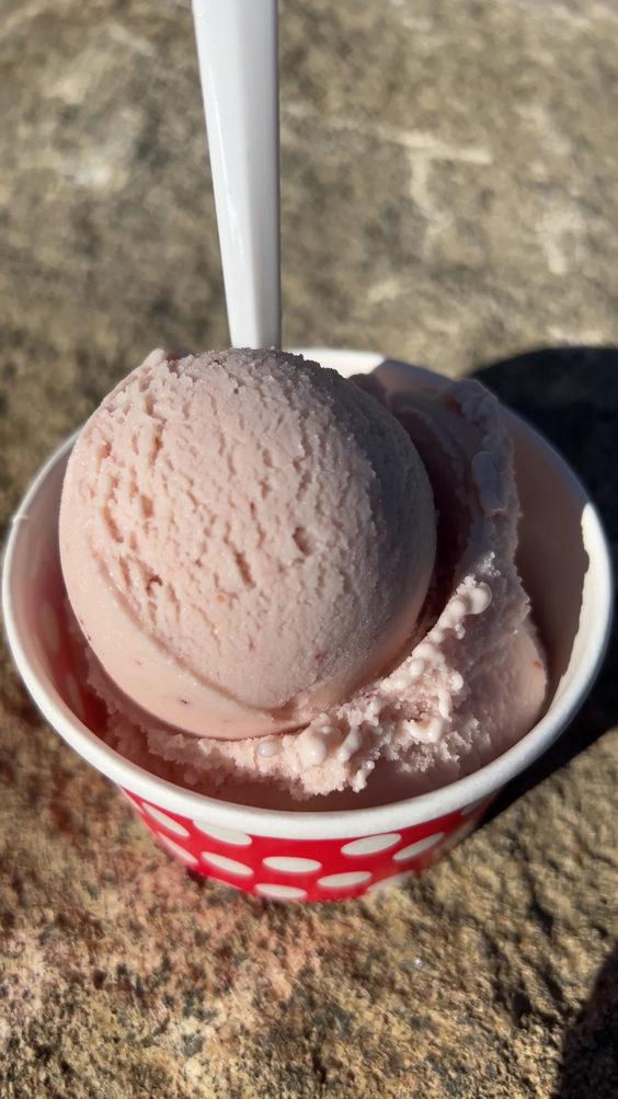 Emma & Otto’s Ice Cream