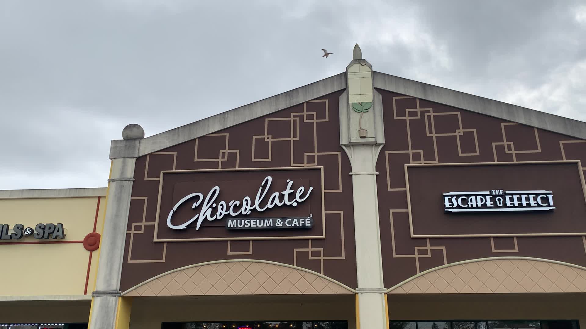 Chocolate Museum & Cafe