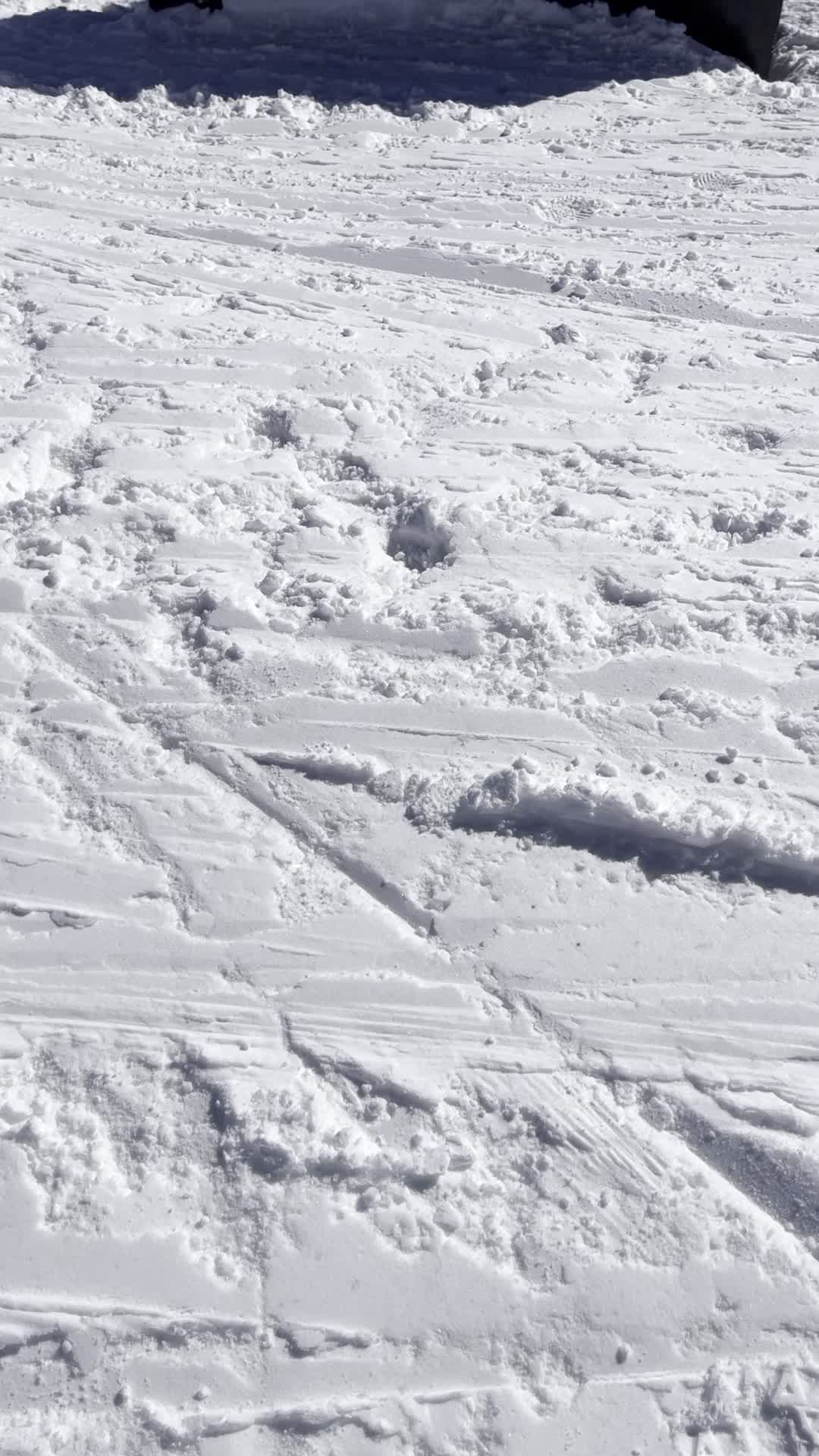 Video review of Le Panoramic 2732 M