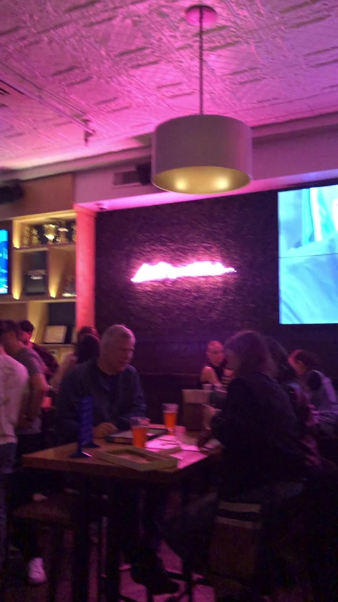 Video review of Standard Rec