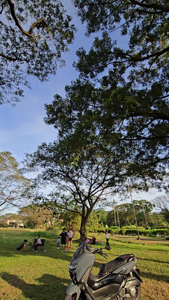 UP Diliman