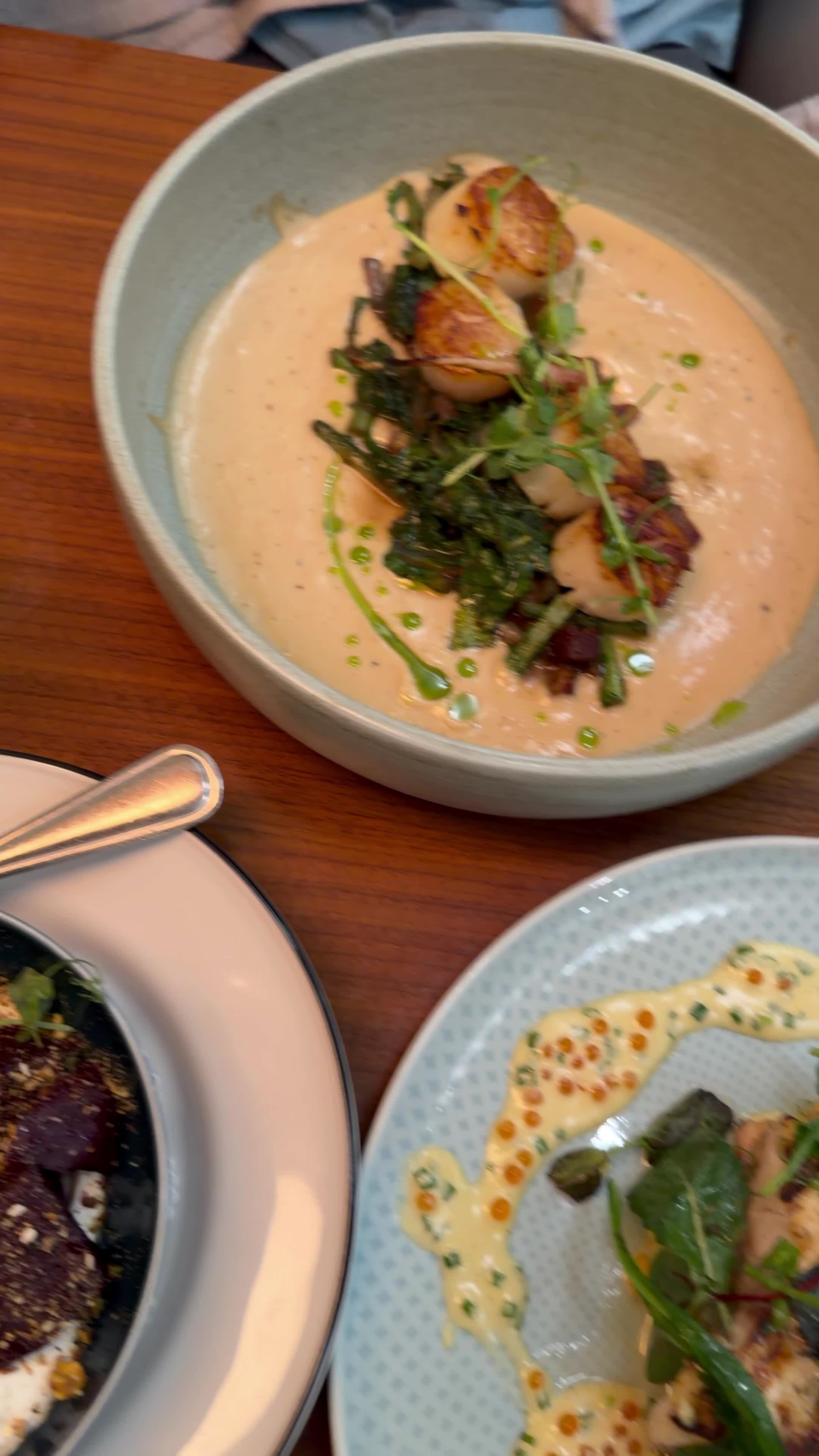 Video review of Oystercatchers