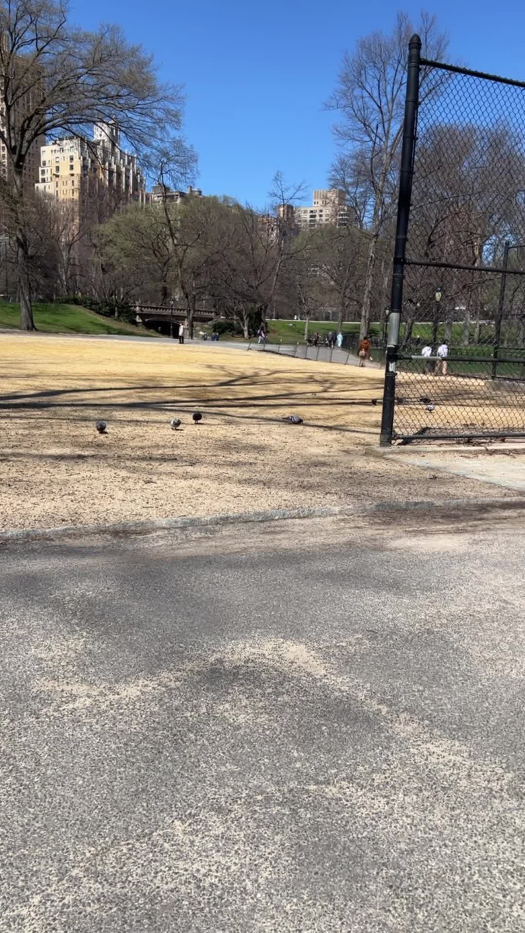 Baseball Field