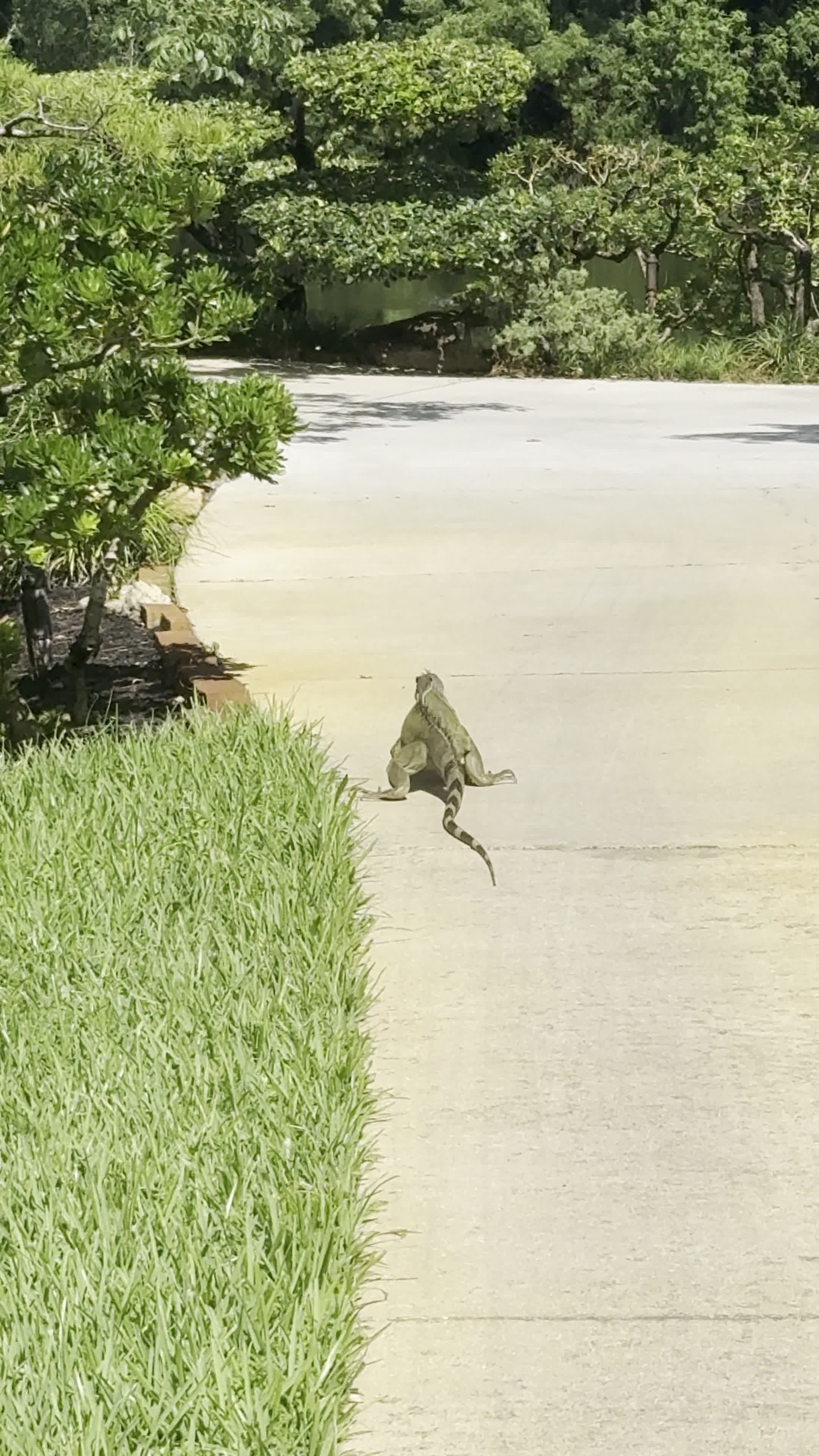 Morikami Museum and Japanese Gardens