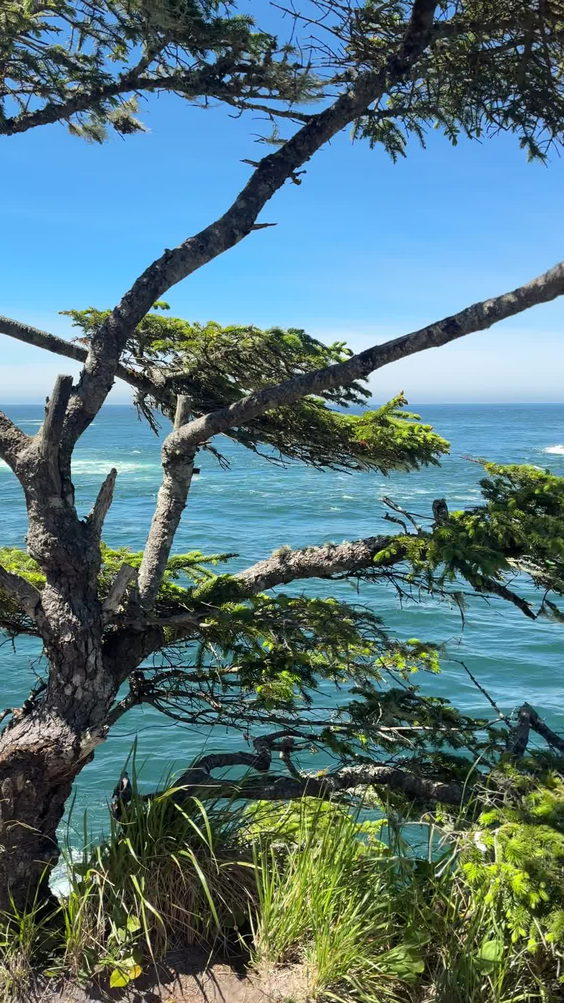 Cape Flattery