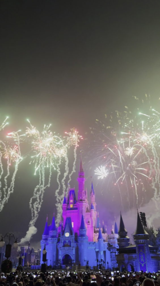 Magic Kingdom After-Fireworks Dessert Party