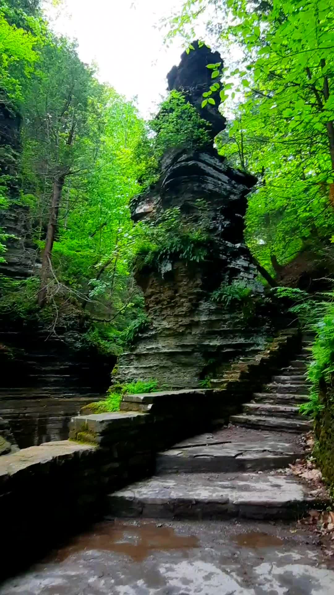 Buttermilk Falls State Park
