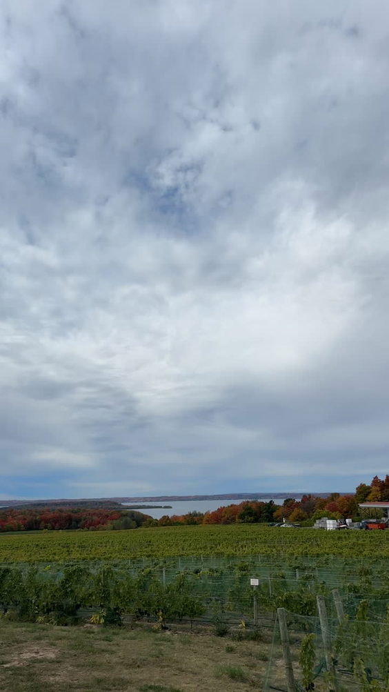 Chateau Grand Traverse