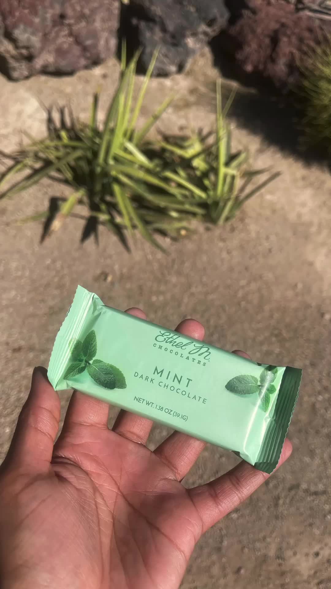 Video review of Ethel M Chocolate Factory & Cactus Garden