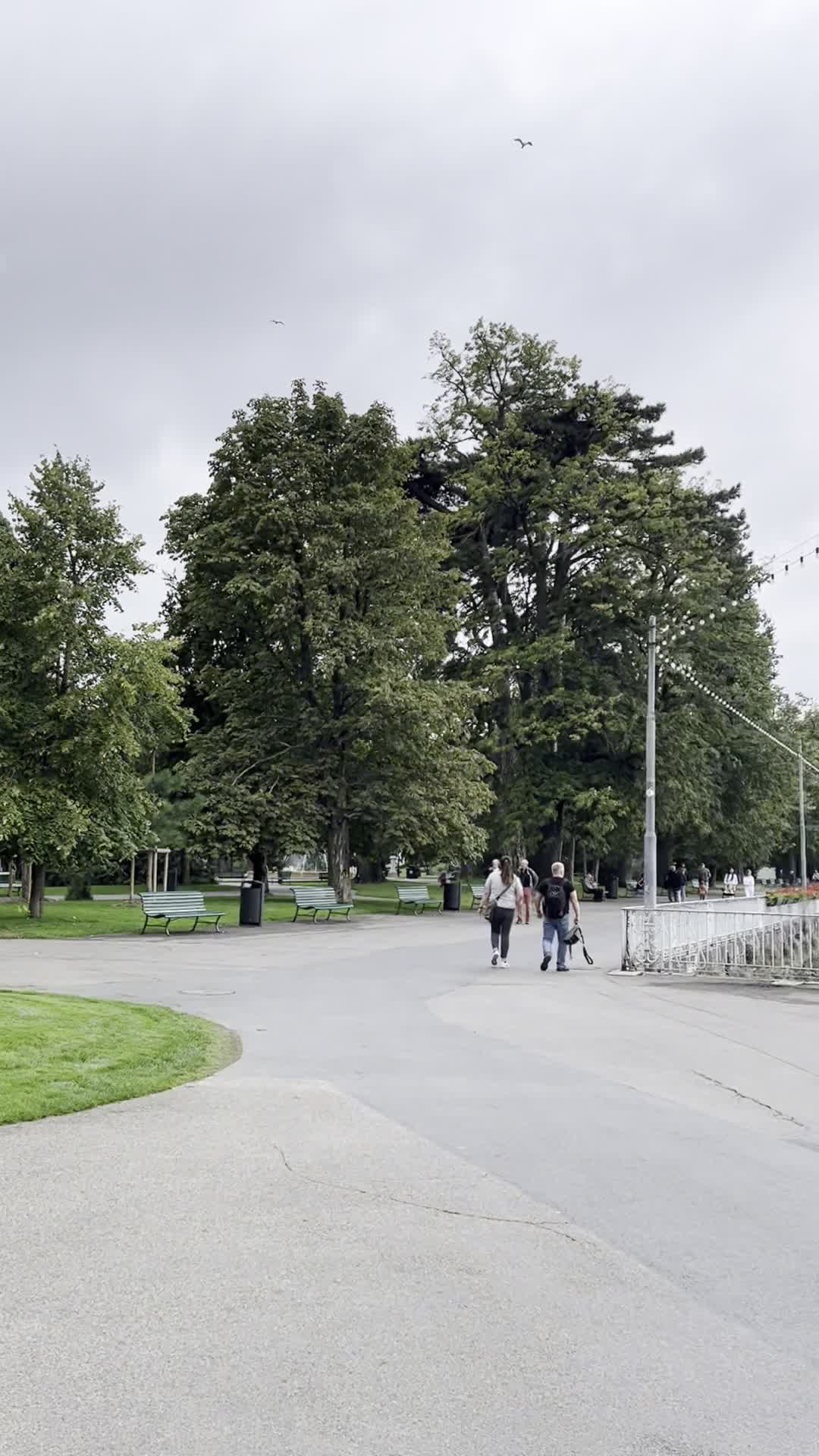 Video review of Jardin Anglais