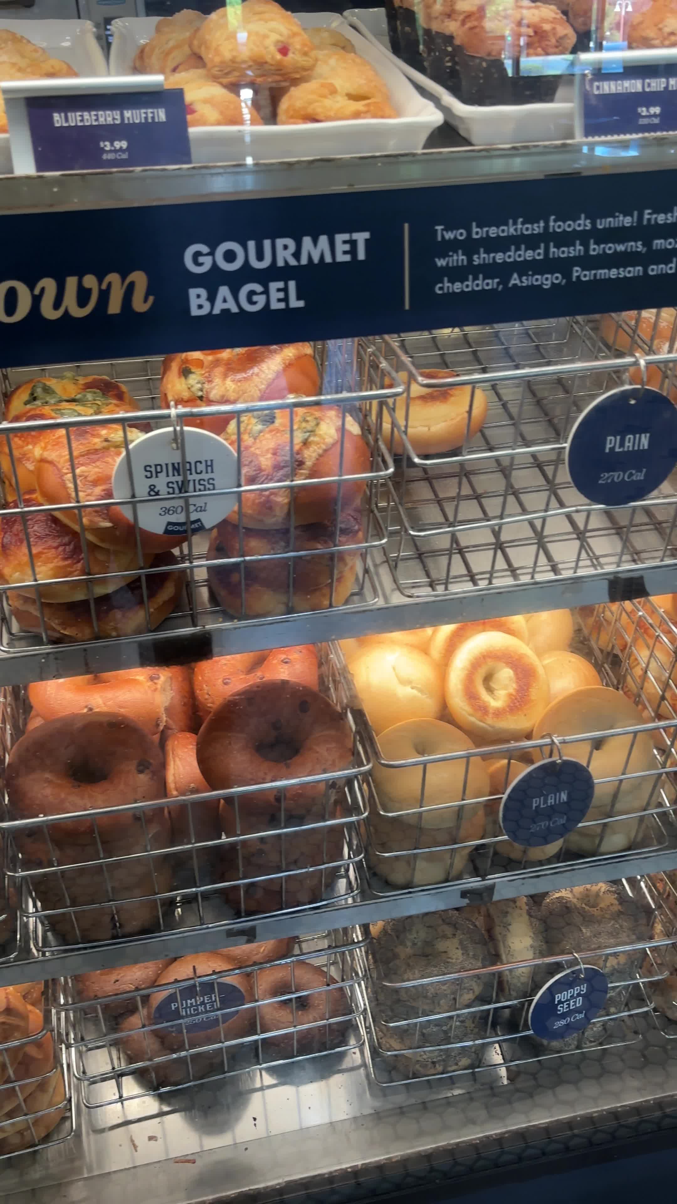 Noah's Bagels