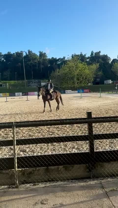  Julio Enrique Monagas