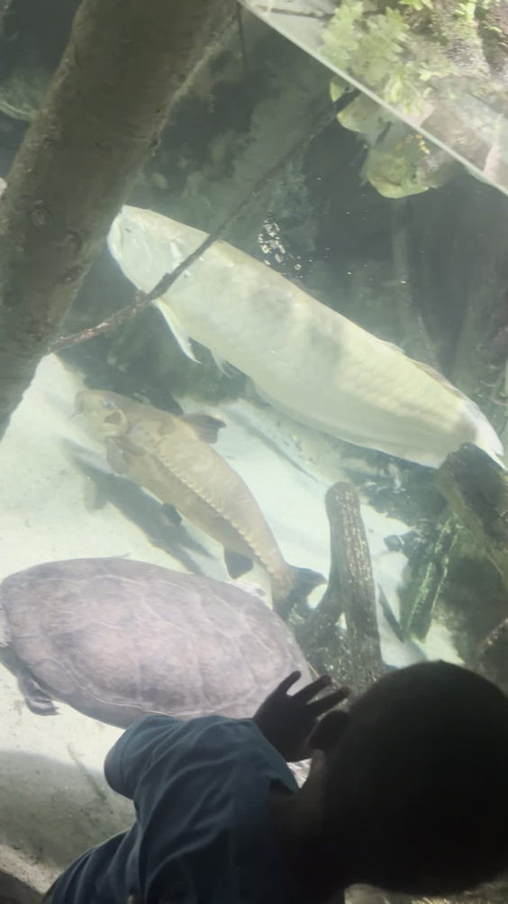 National Aquarium