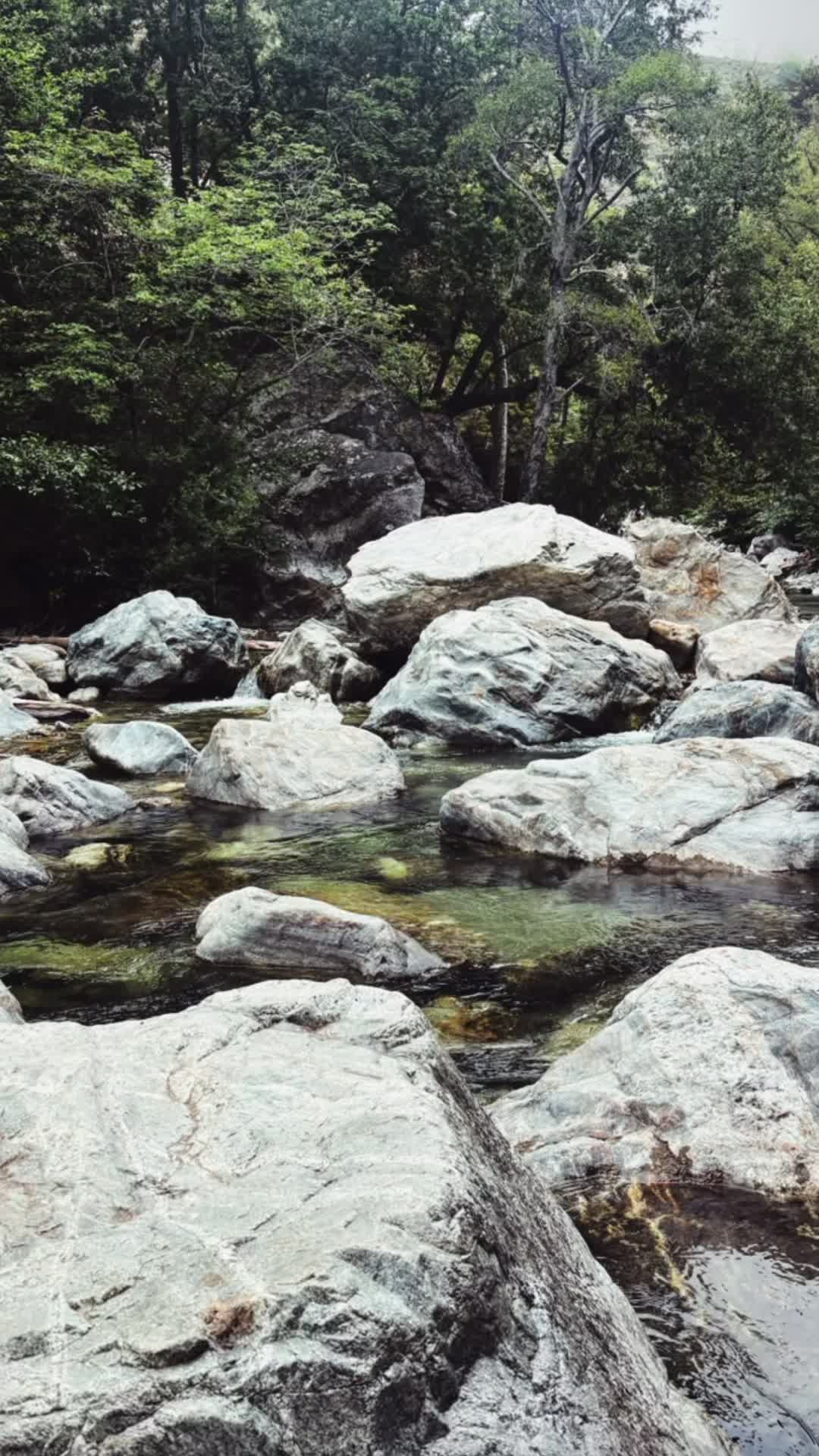 Video review of Pfeiffer Big Sur State Park