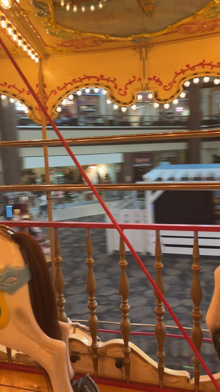 Video review of Maplewood Mall