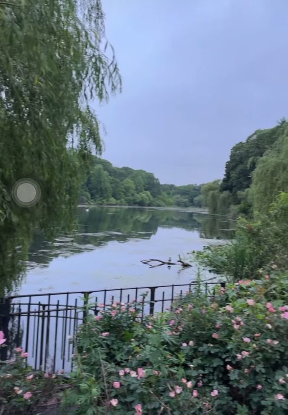 Ridgewood Duck Pond