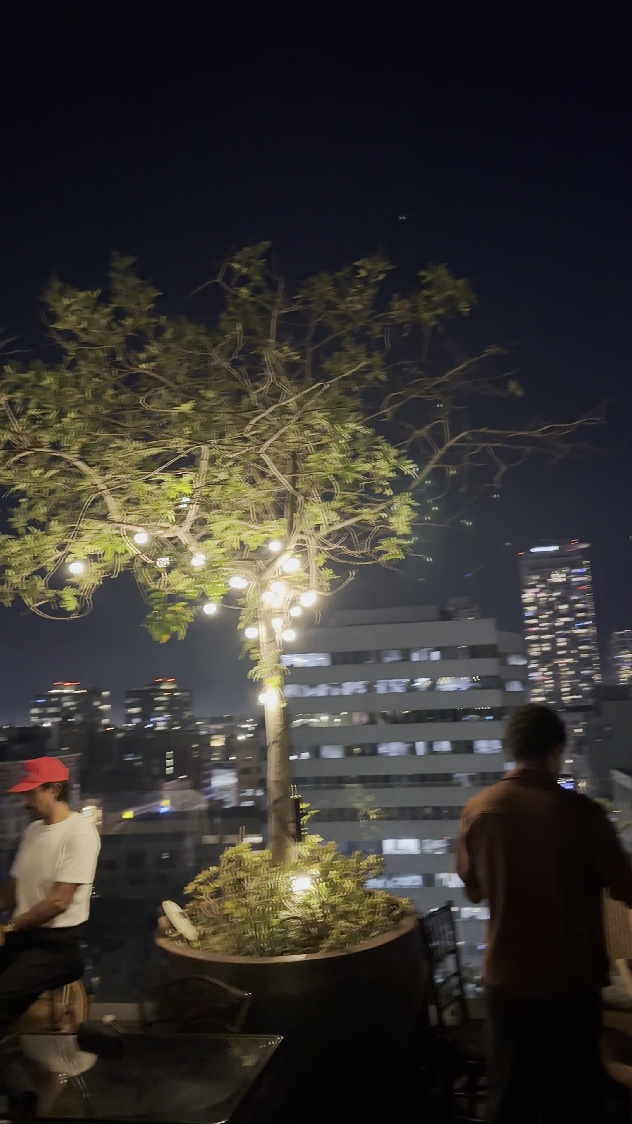 Rooftop Bar At Perch