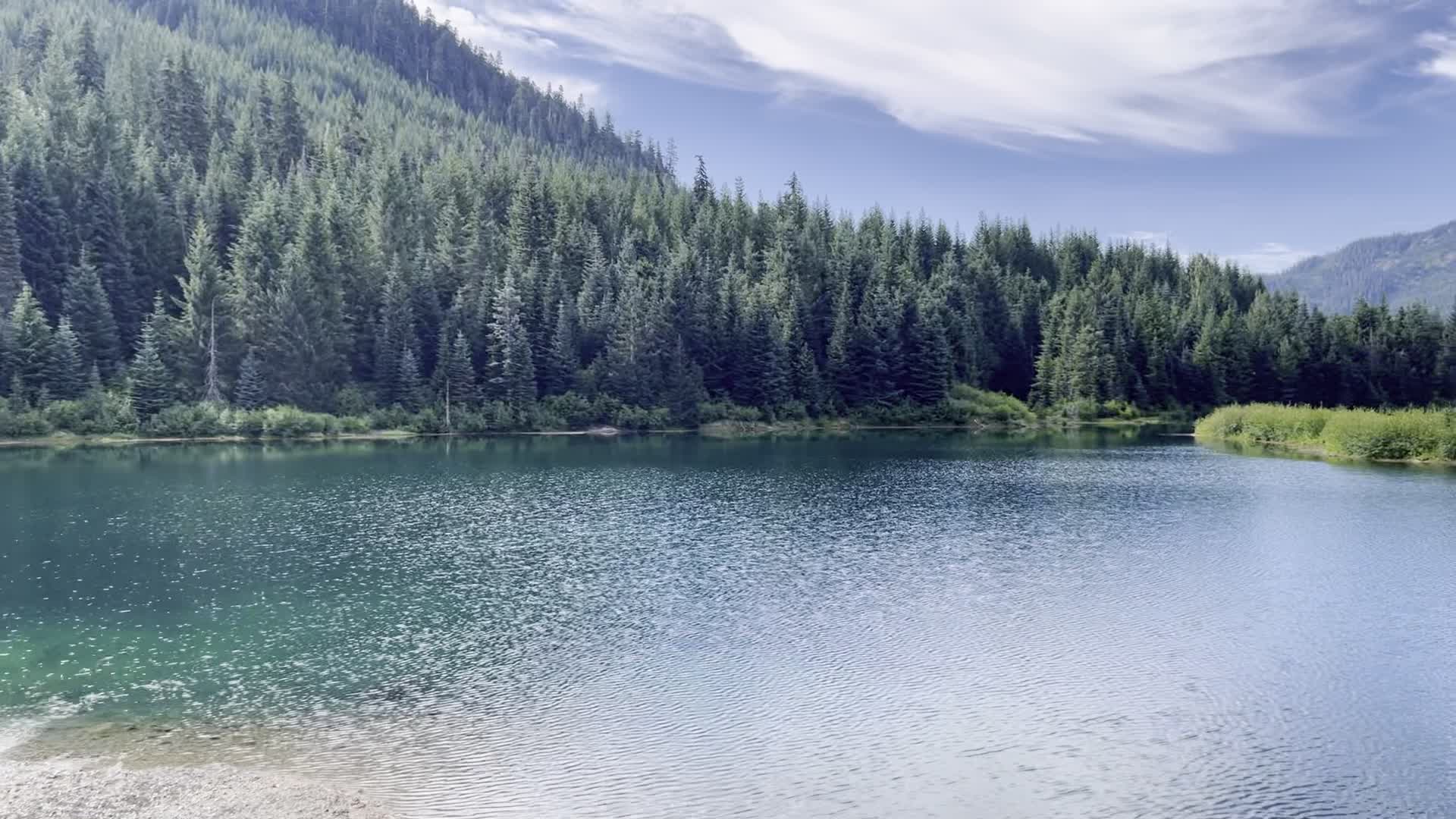 Gold Creek Pond