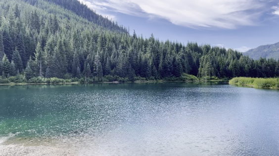 Gold Creek Pond