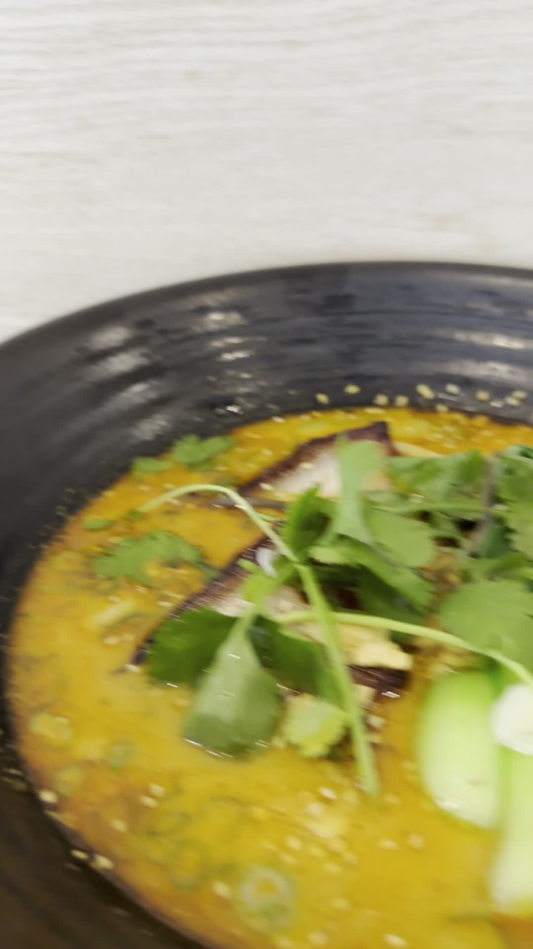 Video review of Motonobu Udon