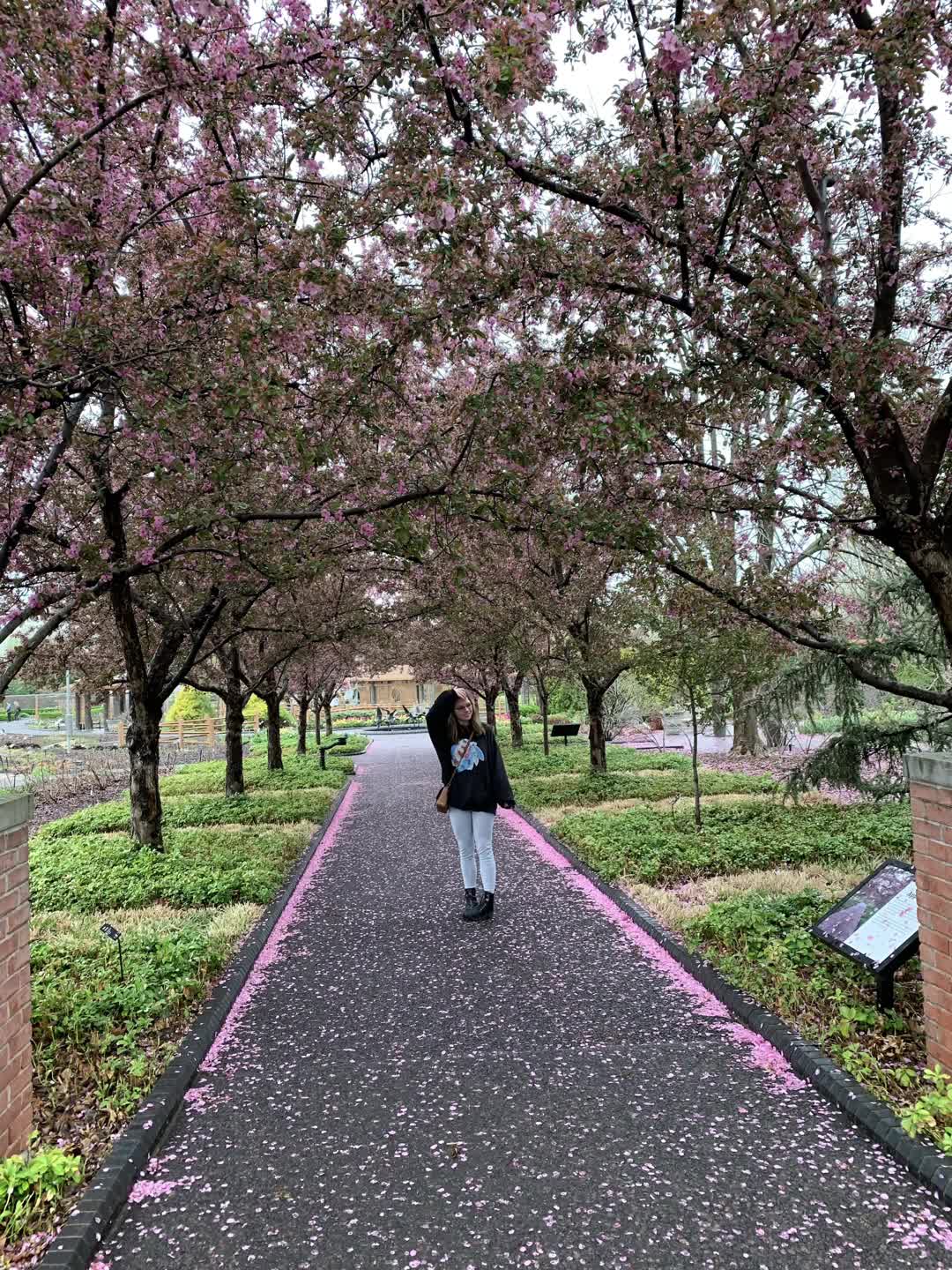 Ballpark Village St. Louis