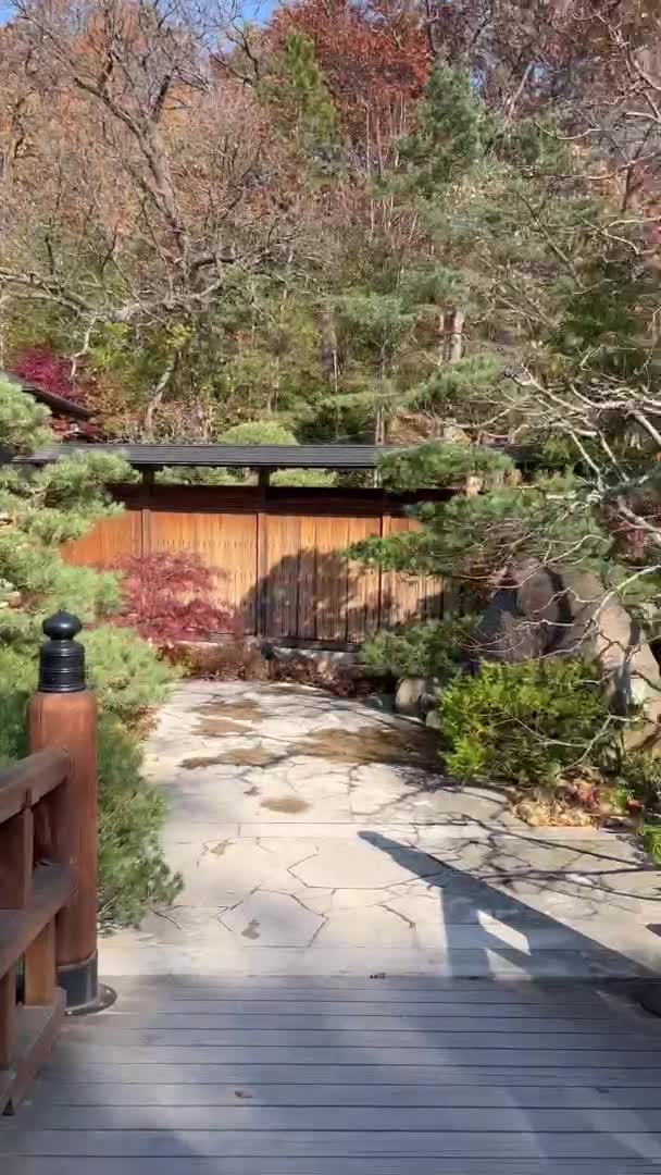 Video review of Anderson Japanese Gardens