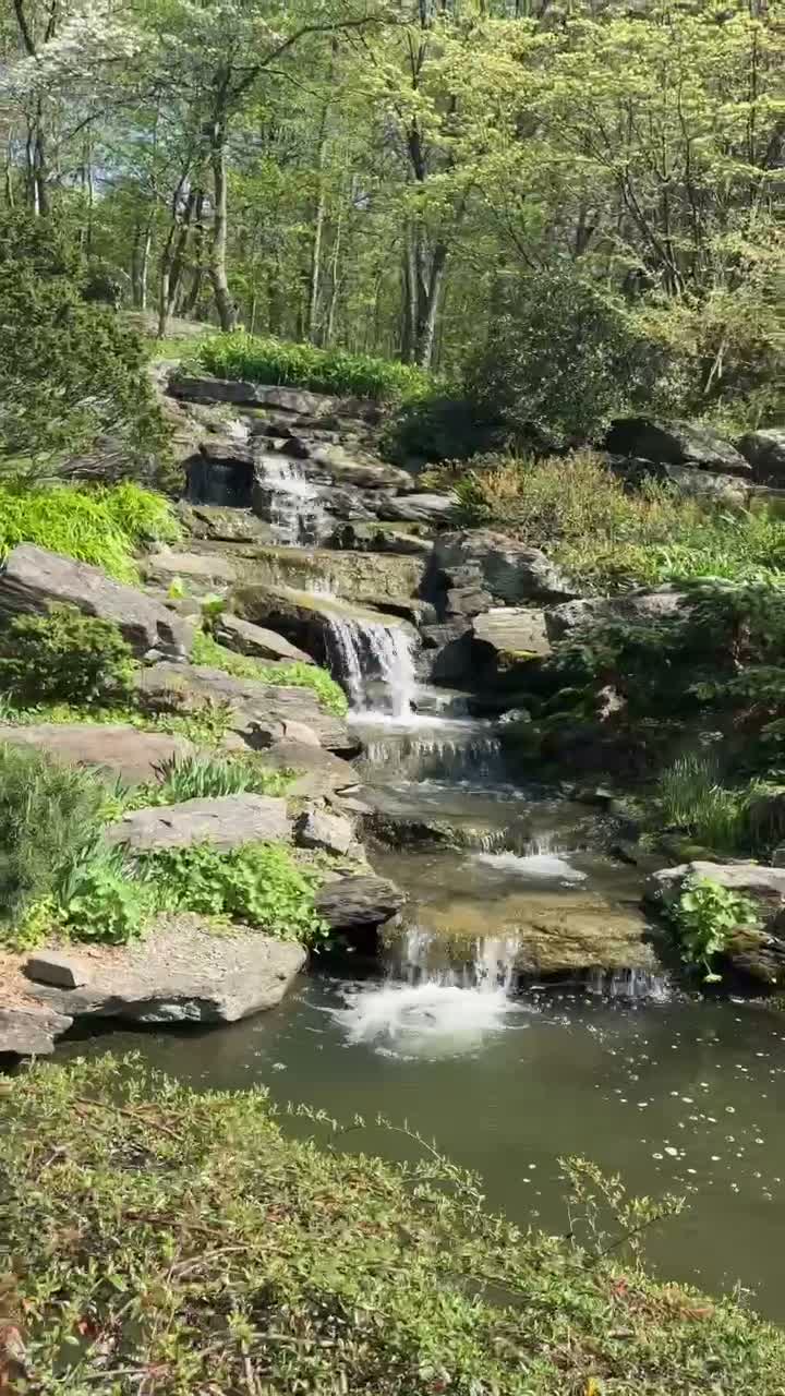 Video review of New York Botanical Garden