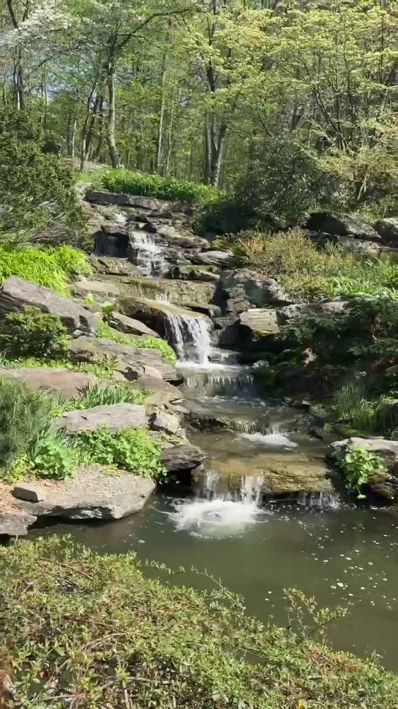New York Botanical Garden