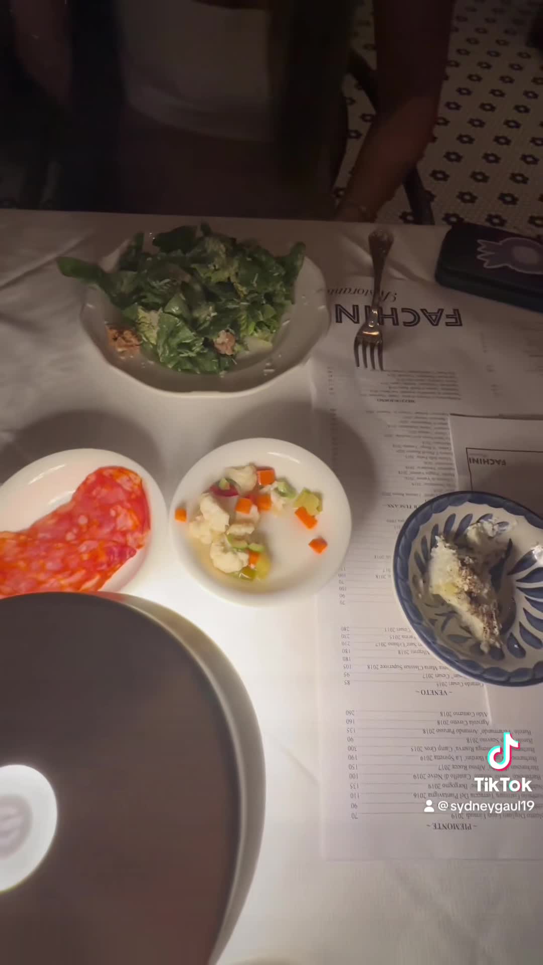 Video review of Fachini