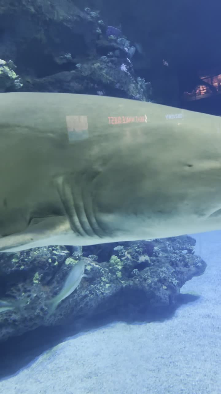 Video review of North Carolina Aquarium at Fort Fisher