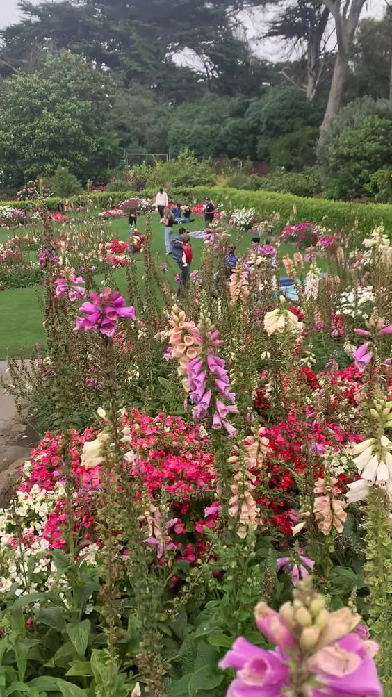 Queen Wilhelmina Tulip Garden