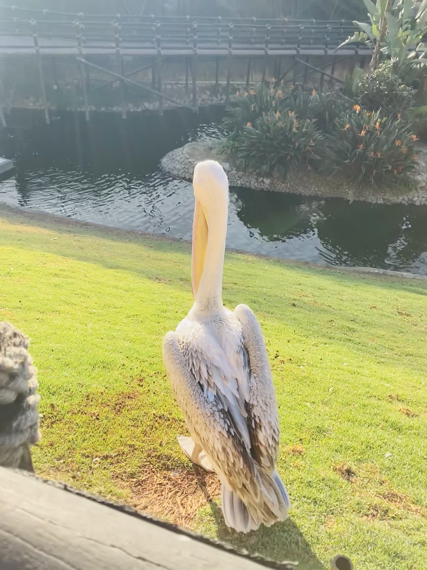 Montecasino Bird Gardens