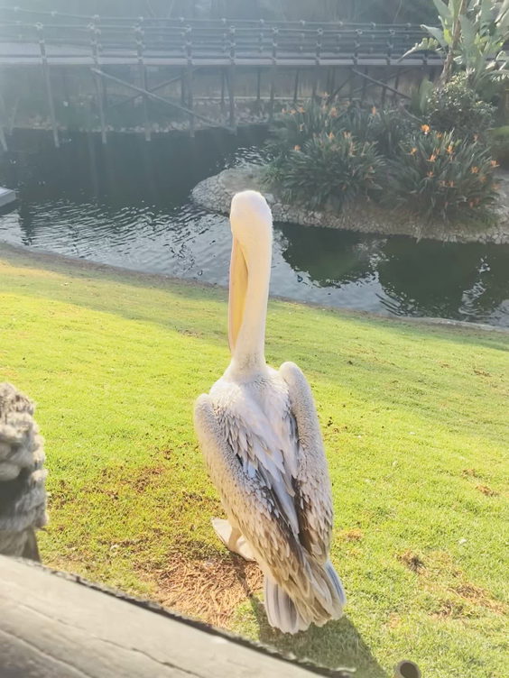 Montecasino Bird Gardens