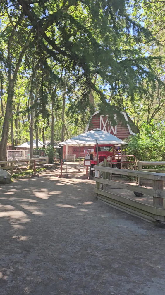 Beacon Hill Children's Farm