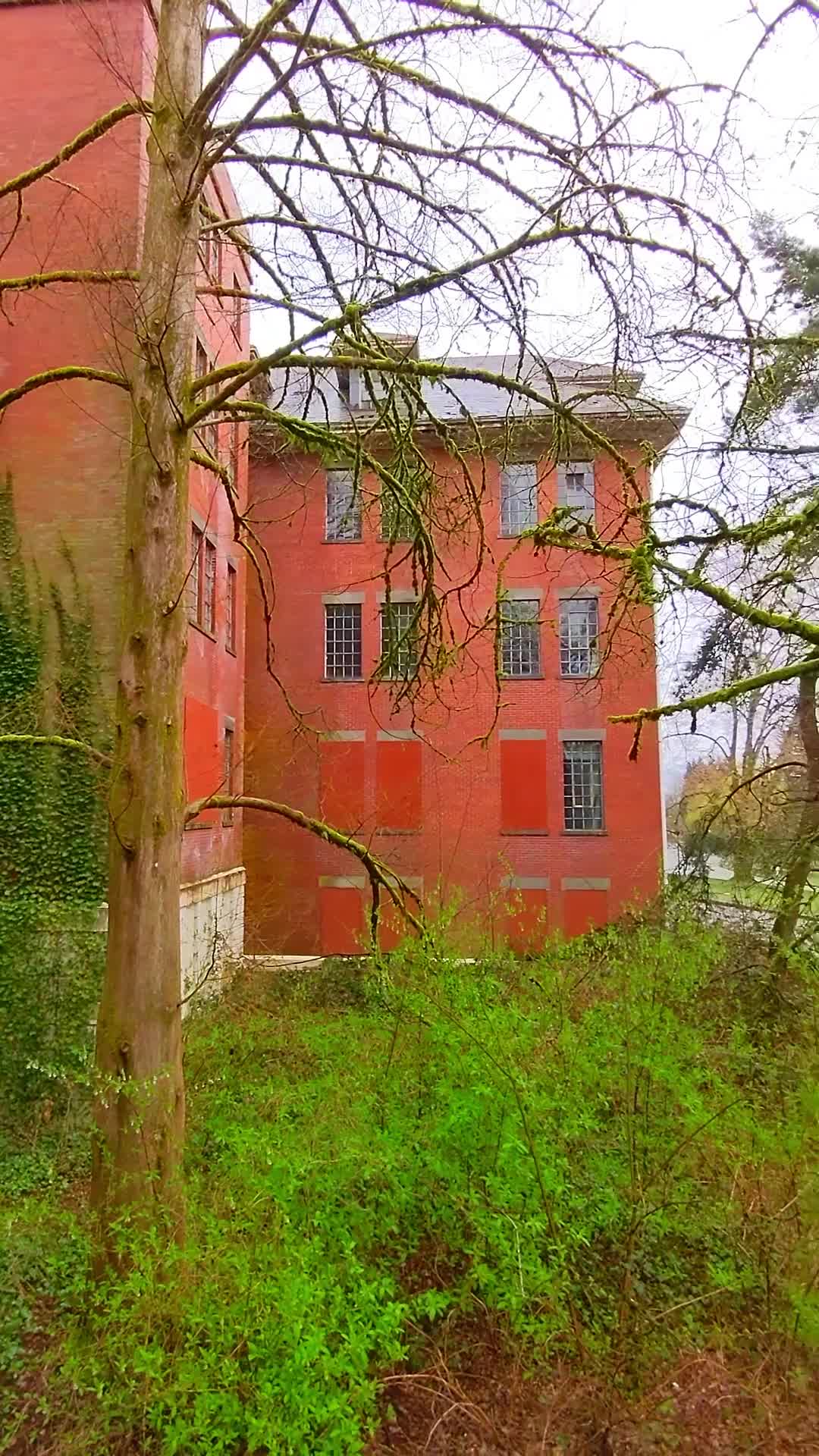 səmiq̓wəʔelə - Place of the Great Blue Heron