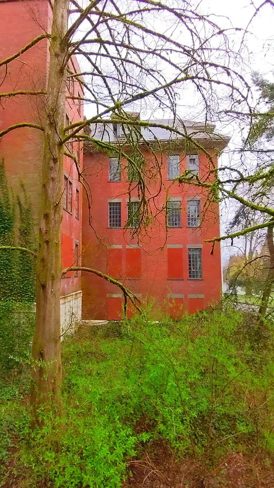 səmiq̓wəʔelə - Place of the Great Blue Heron