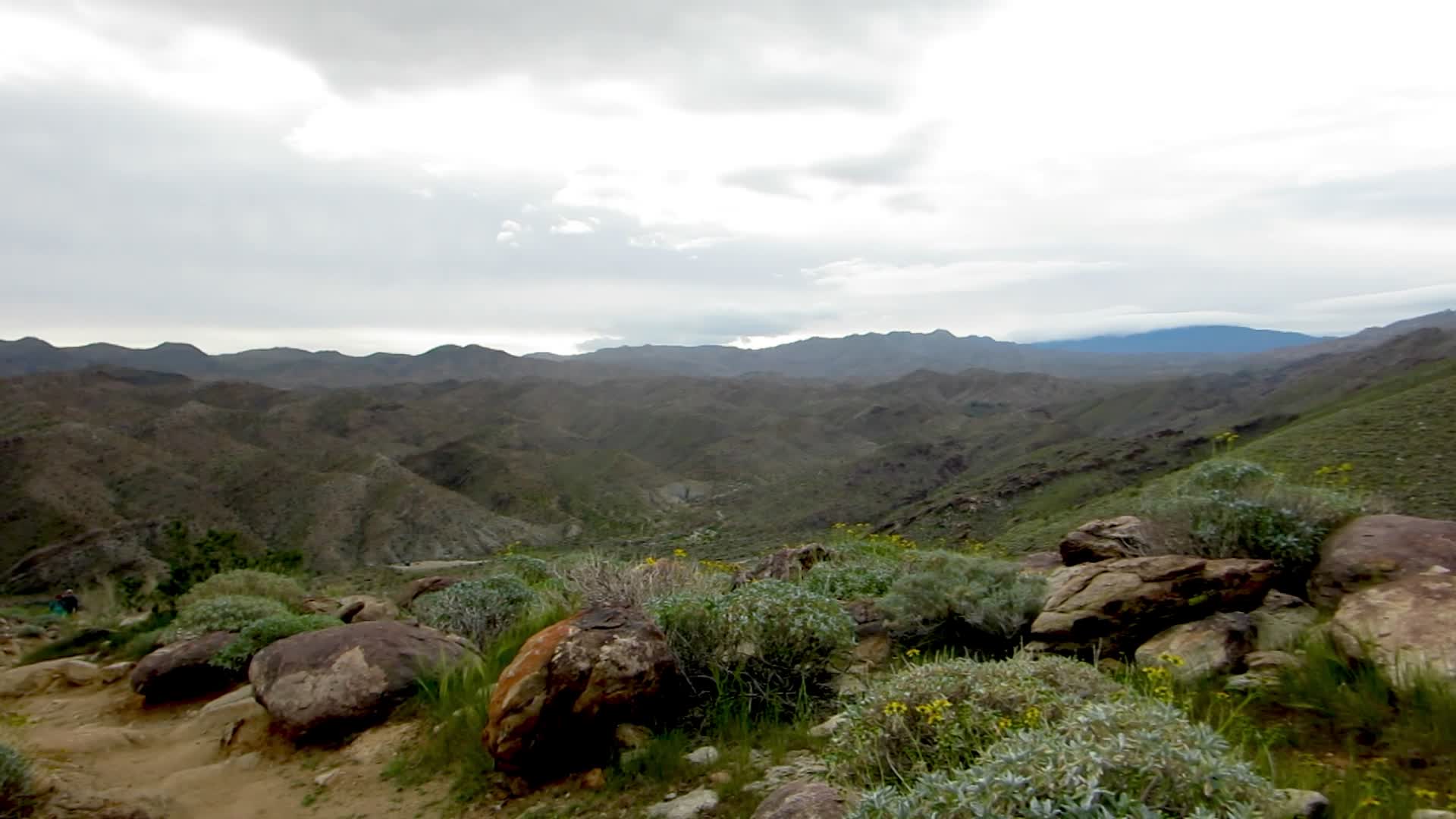 Joshua tree national park