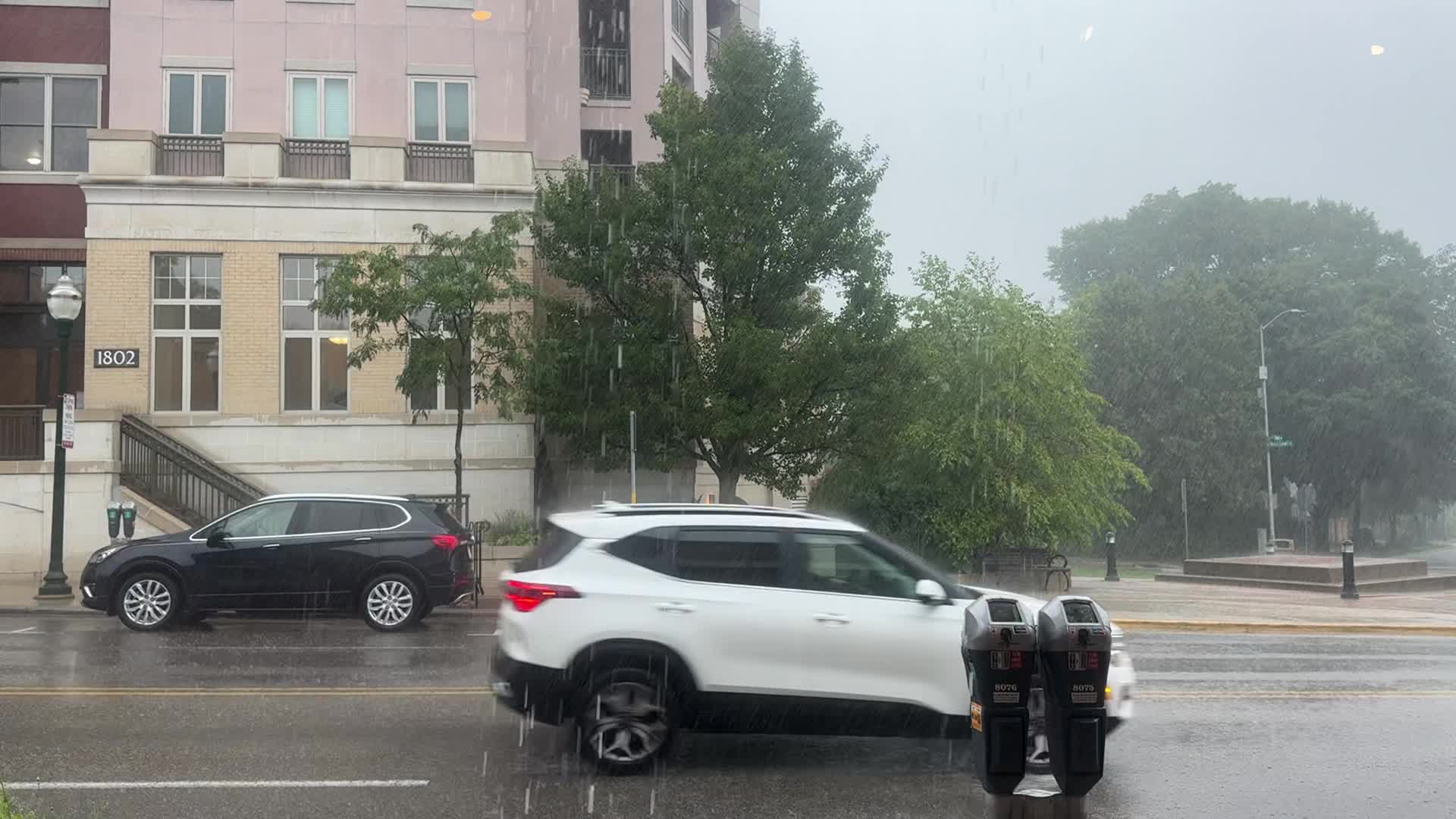 Video review of Barriques